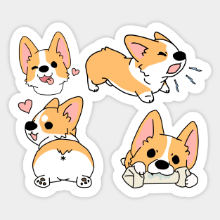 Cute Corgi Puppies Sticker